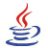 Software Development