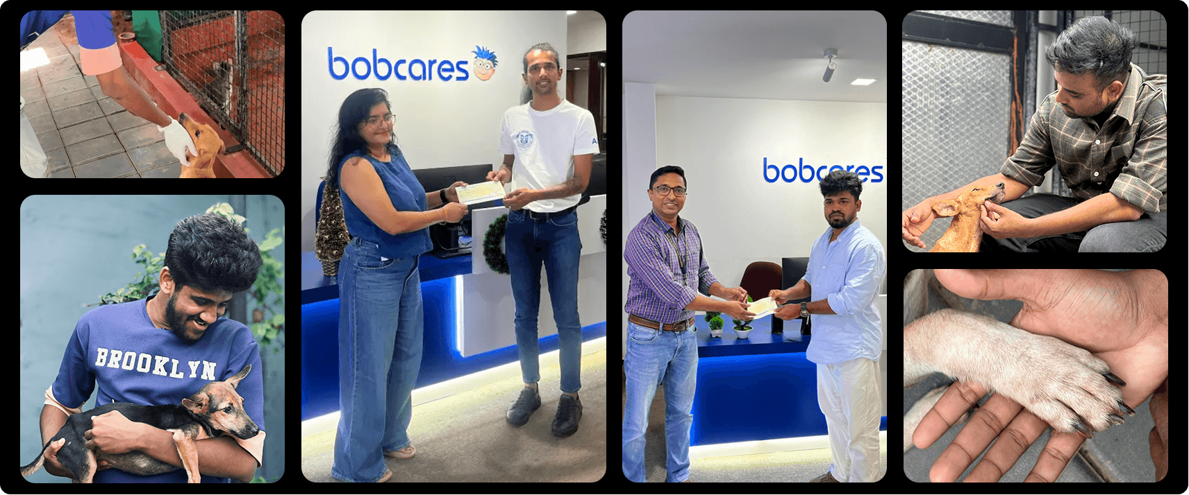 Bobcares Animal Welfare Initiative