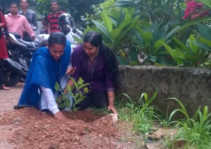 World Environment Day Bobcares 2014