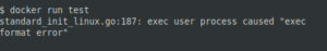 Docker Exec format
