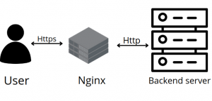 Nginx SSL Termination