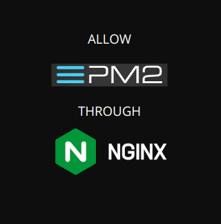 allow pm2 through nginx