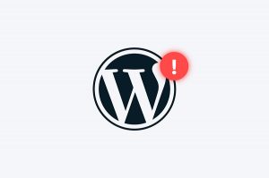 wordpress wp_send_json_error