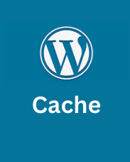 What happens if you clear WordPress cache?