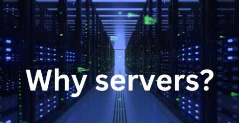 Why Do Companies Use Servers?