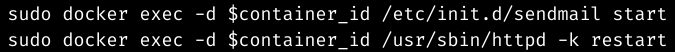 sendmail in docker container