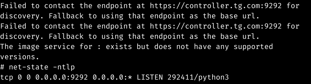 Failed to contact the endpoint at https://localhost:9292