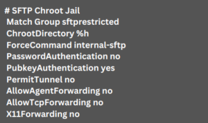 How to set up the Chroot Jail?