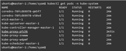 get information about the pods -Setting Up a Kubernetes Cluster and Monitoring with Ansible, Prometheus, and Grafana 