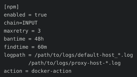 Nginx Proxy Manager jail