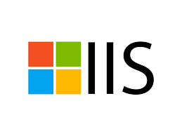 iis application pool identity custom account permissions