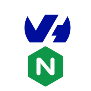 nginx proxy manager ovh