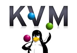 kvm usb redirection error not authorized