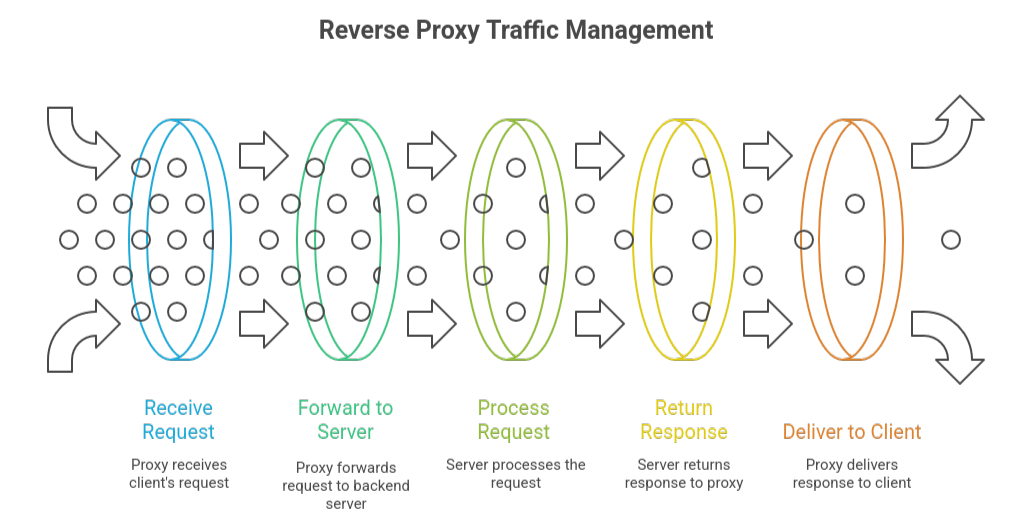 NGINX Reverse Proxy Raspberry Pi Setup Guide