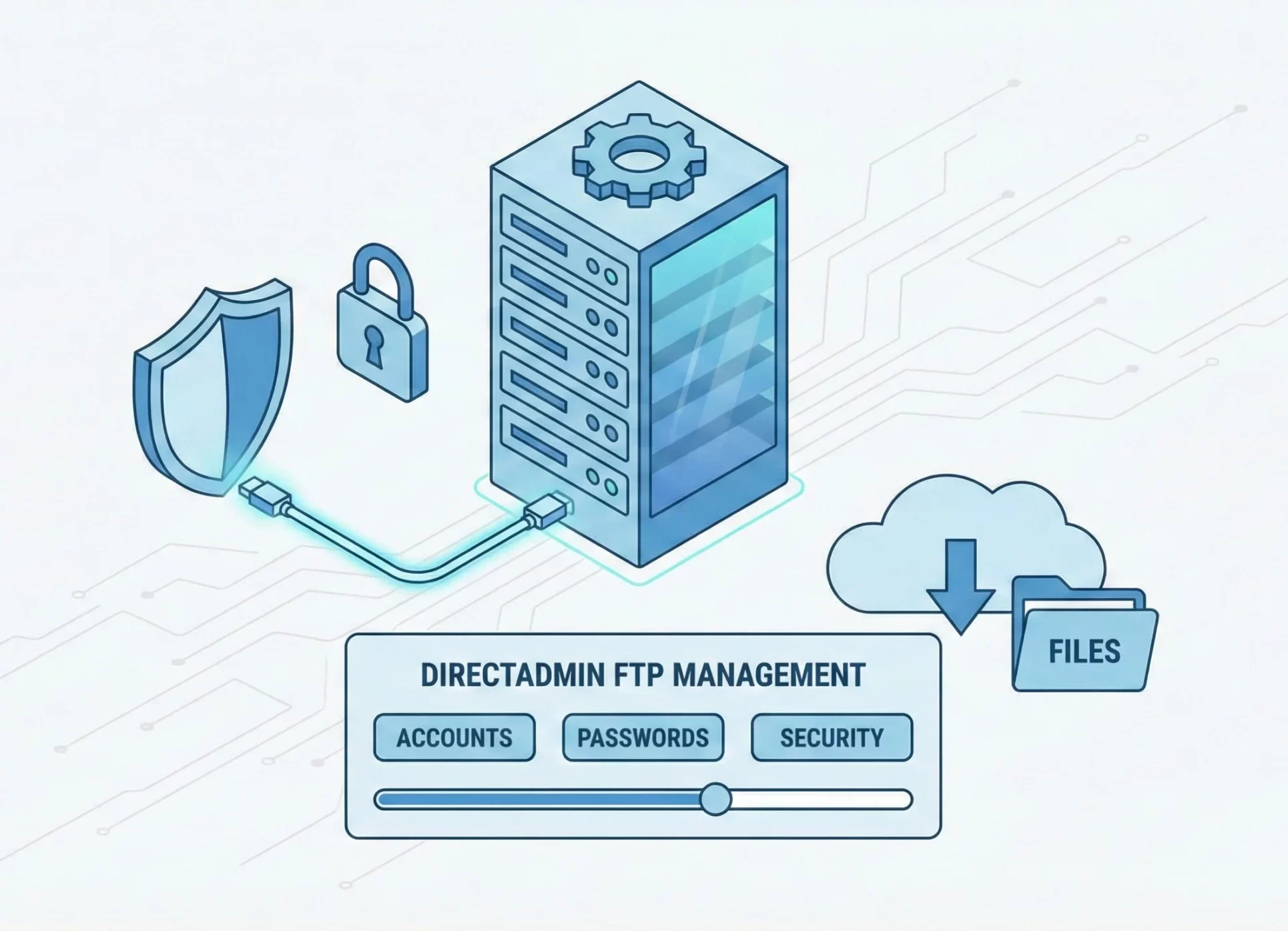 DirectAdmin FTP Settings Explained for Easy Management