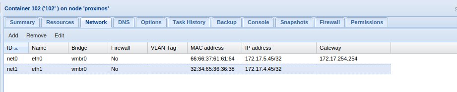 Second IP listed for LXC container in Proxmox