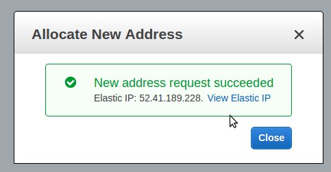 Allocate a new Elastic IP in your Amazon account