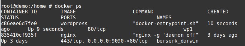 connect to docker container - lookup the id