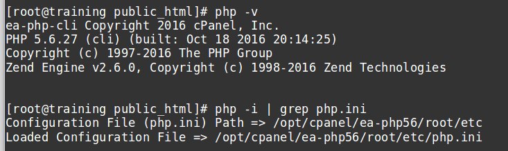 Verify PHP version of website