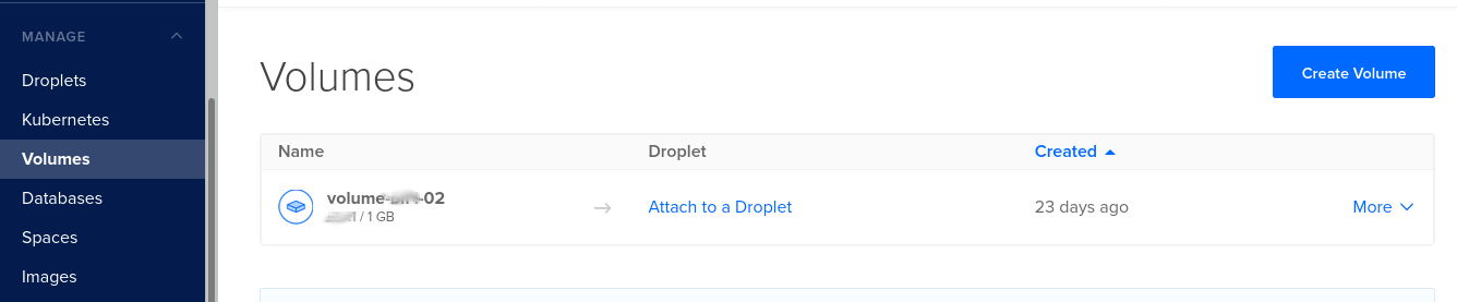 digitalocean_storage_options_volume
