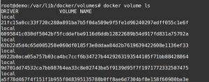 Docker backup data volumes