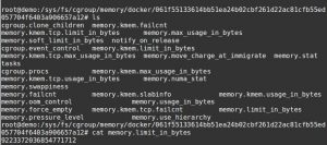 Docker container memory stats