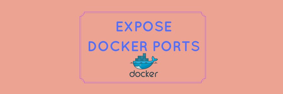 dockerfile for wordpress and drupal hosting