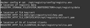 Docker private repository SSL configuration