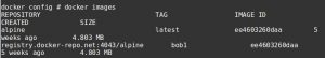 Docker private repository images