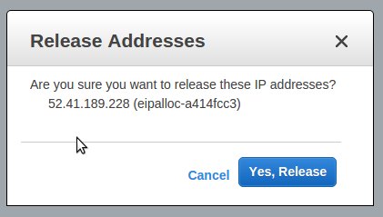 ec2 elastic ip release