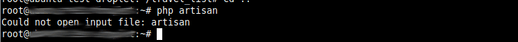 aravel could not open input file artisan
