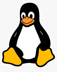 manage linux server using systemd