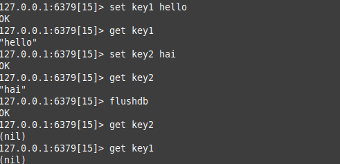 redis flush command