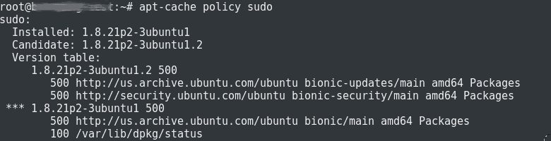 sudo vulnerability