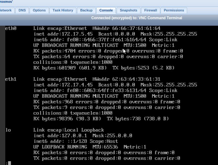 Two IPs listed in the LXC container in Proxmox