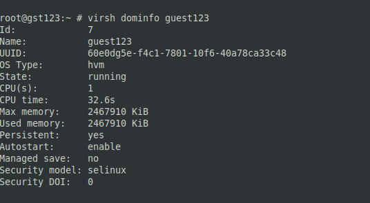 virsh dominfo