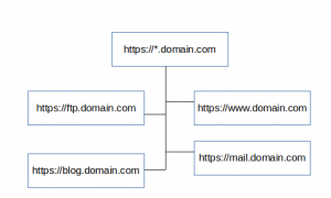  nginx wildcard certificate